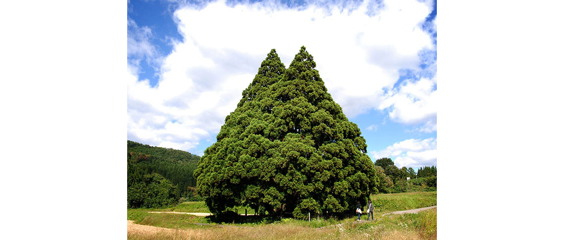 鮭川村